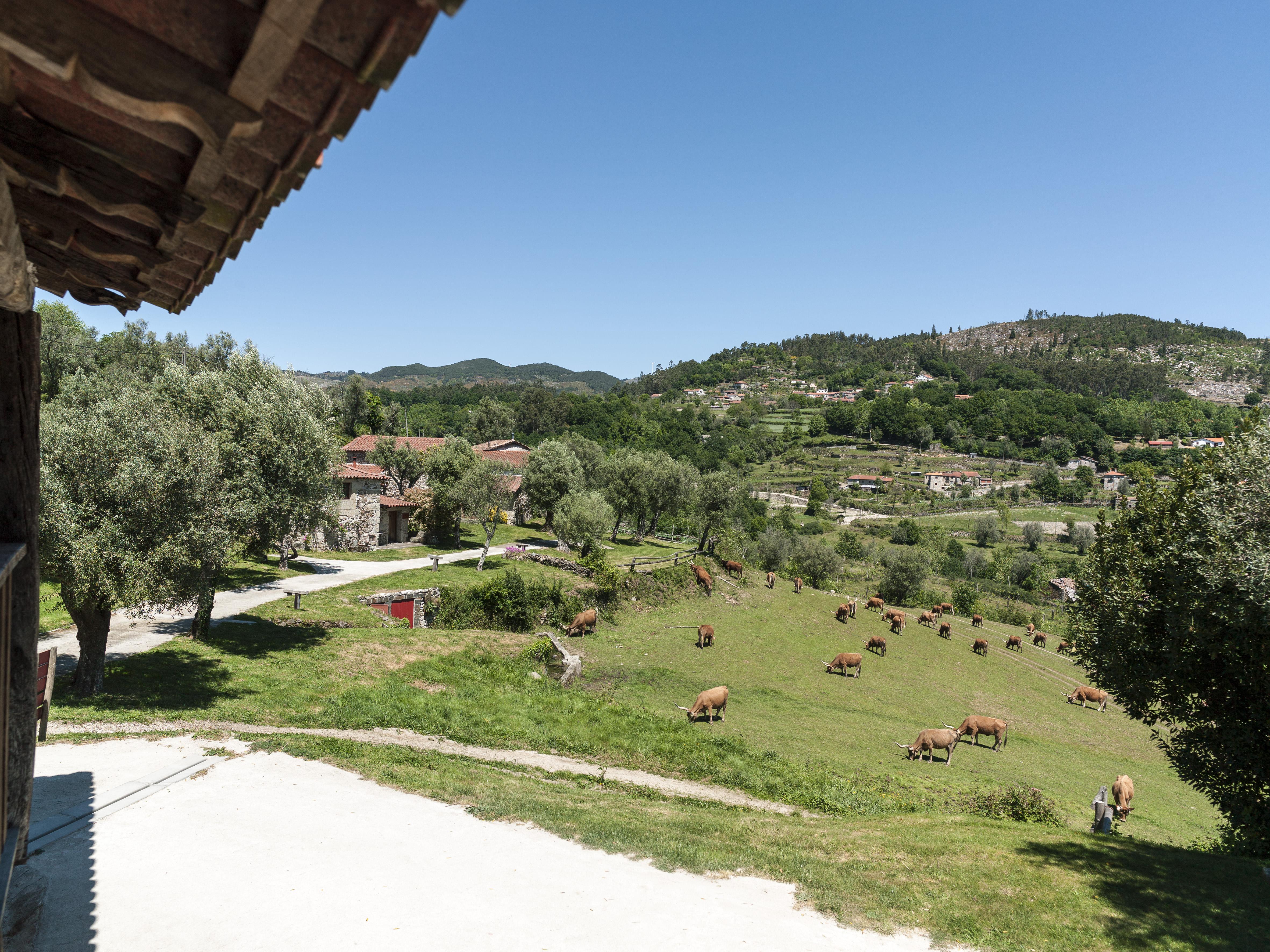 הוילה קאבקסיירס דה באסטו Quinta Do Rapozinho מראה חיצוני תמונה